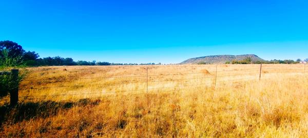 80 ha Land