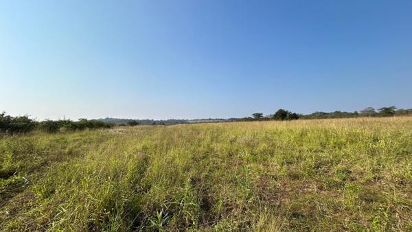 21.5 ha Farm