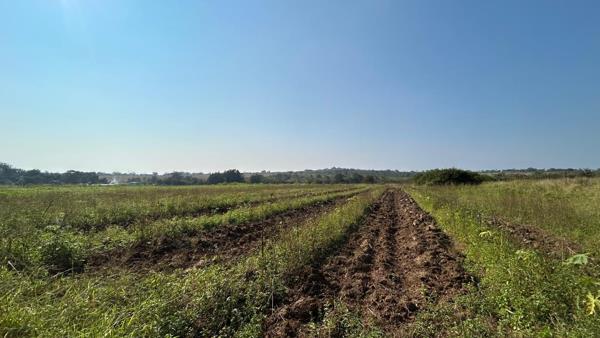 21.5 ha Farm