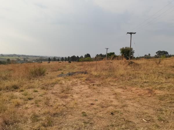 2 ha Farm with House
