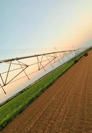 121 ha Farm