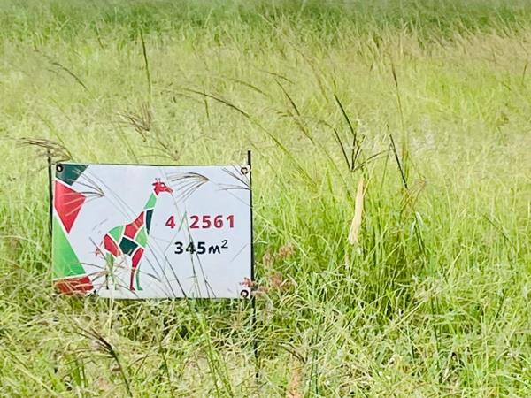 349 m² Land