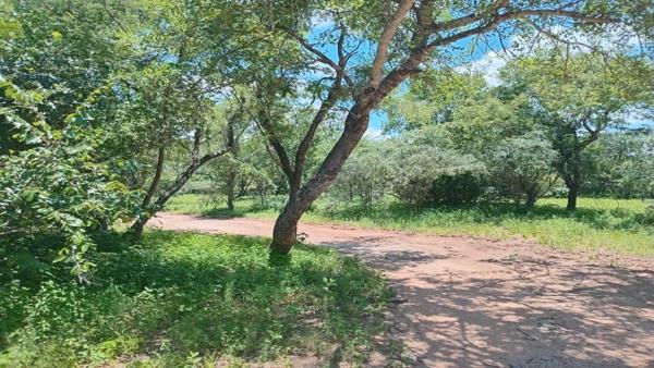 1 917 m² Land
