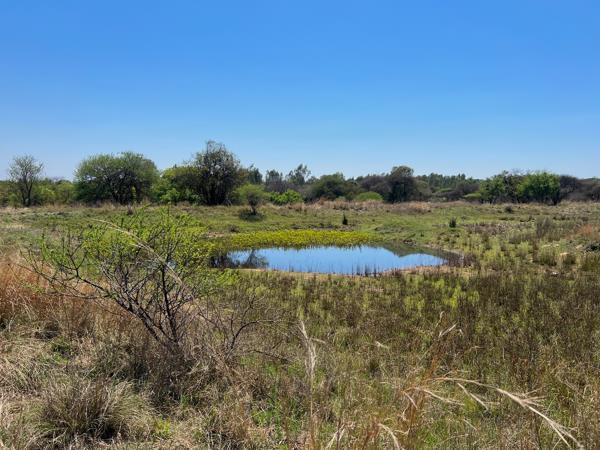 6.1 ha Smallholding