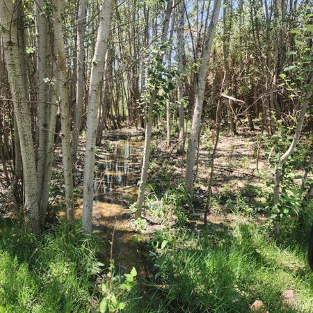 1 252 m² Land