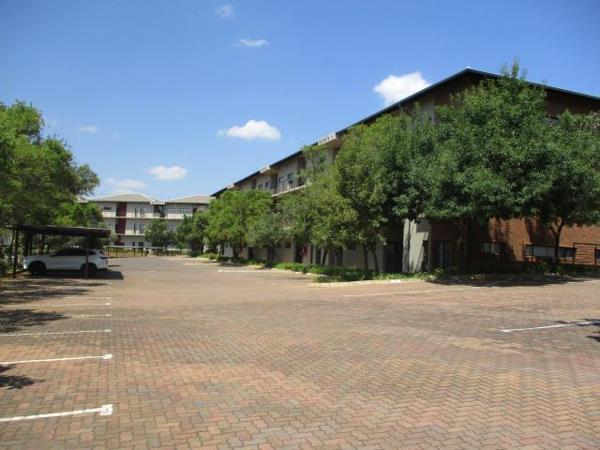 82 m² Office Space