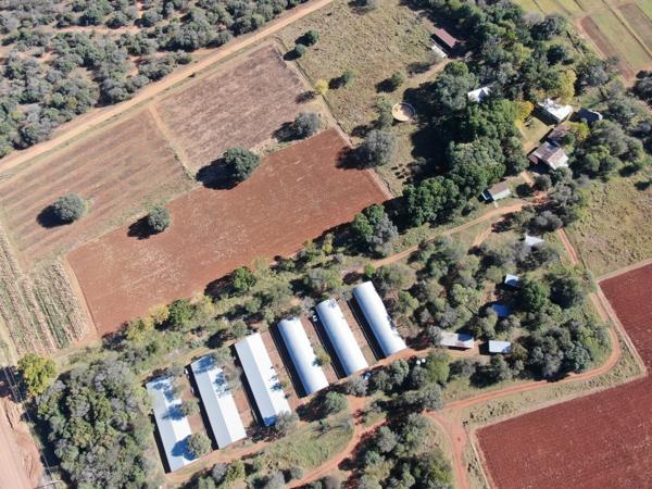 20.4 ha Commercial Farm