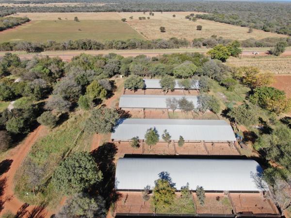 20.4 ha Commercial Farm