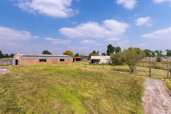 1.6 ha Smallholding