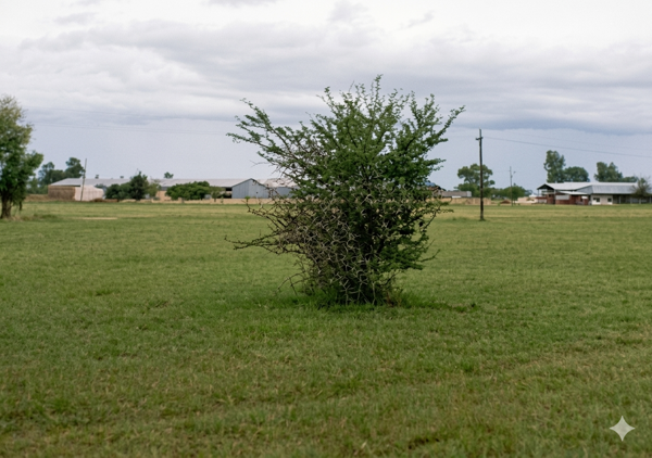1 060 m² Land