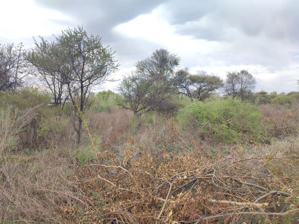 2 231 m² Land