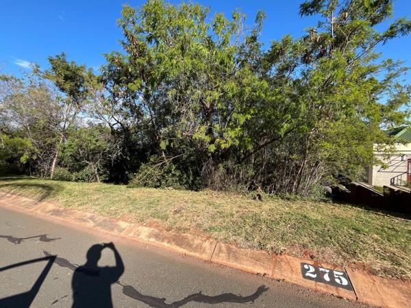 959 m² Land