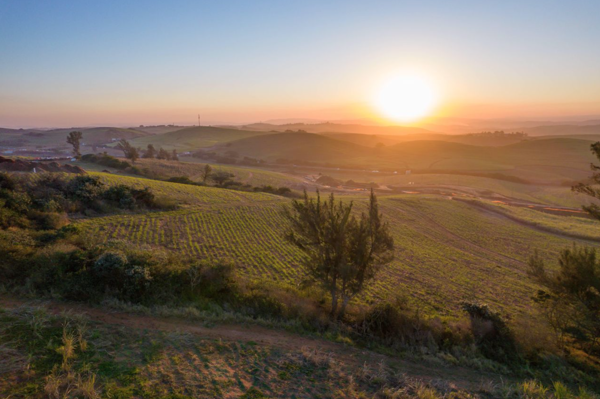 319 m² Land