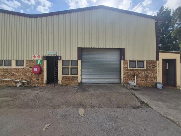 230 m² Industrial space