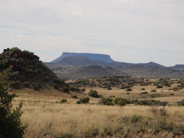 1 848 ha Farm