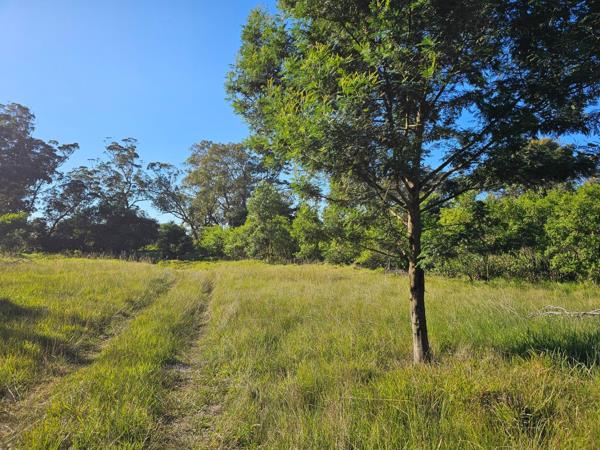 9.8 ha Smallholding