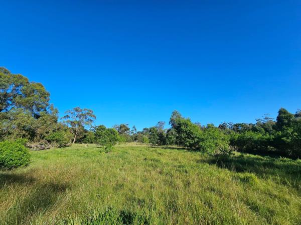9.8 ha Smallholding