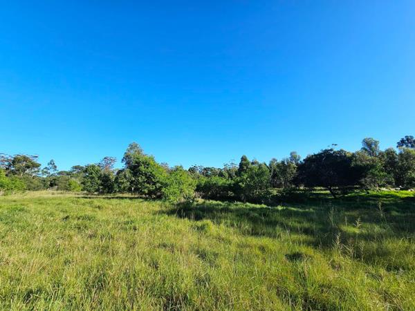 9.8 ha Smallholding