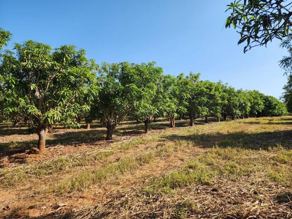 Farm