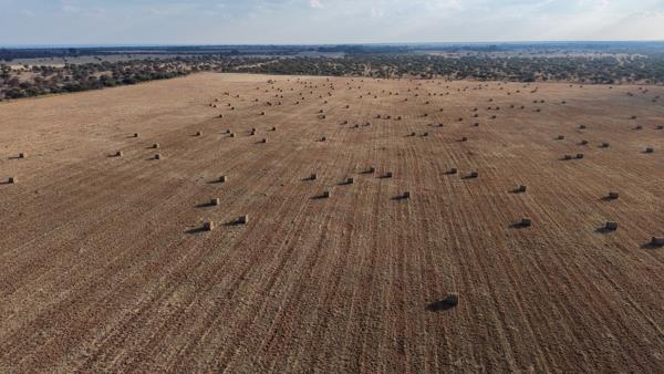 717 ha Farm