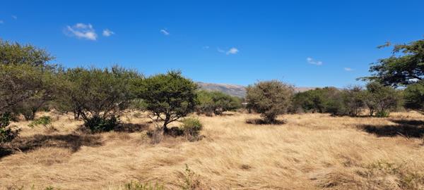 2 ha Land