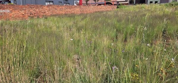 815 m² Land