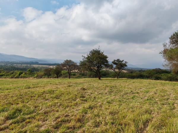 9.8 ha Farm