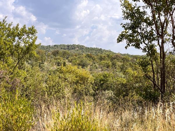 220.5 ha Land