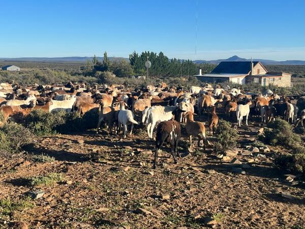 5 468 ha Farm