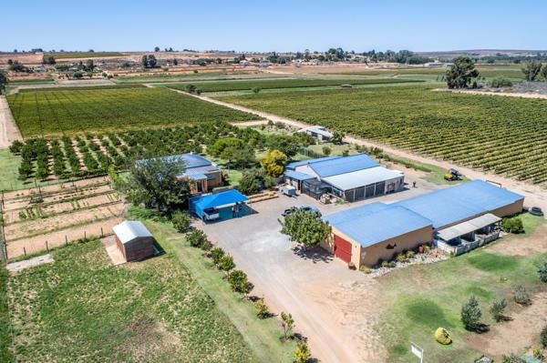 26.8 ha Agricultural Holding
