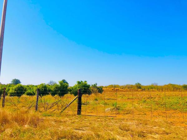 780 m² Farm