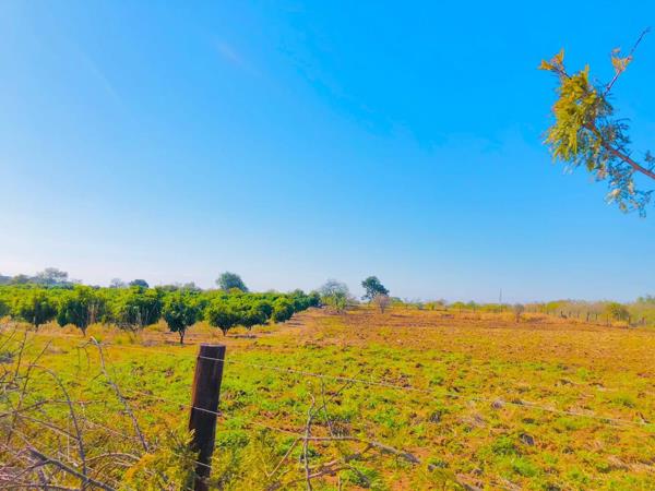 780 m² Farm