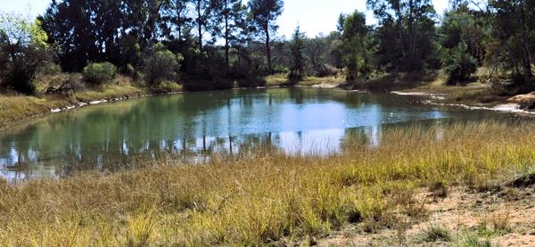 600 ha Farm