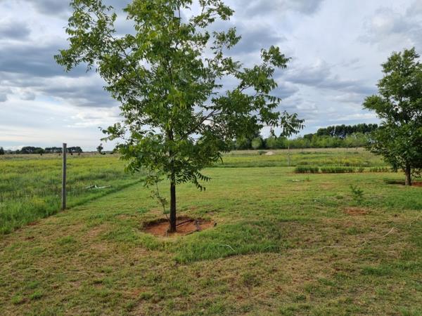 4.2 ha Farm