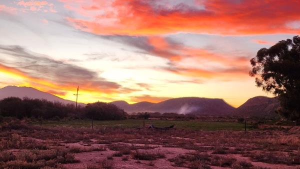 780 ha Farm