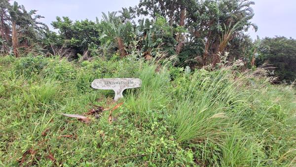 8 359 m² Land