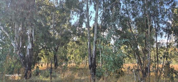 3.6 ha Farm
