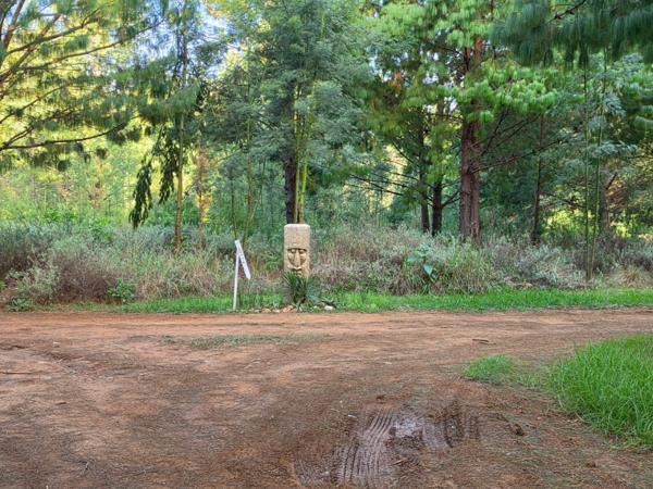 214.3 ha Farm