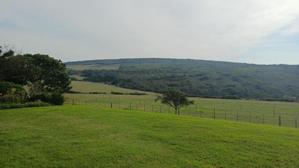 187 ha Farm