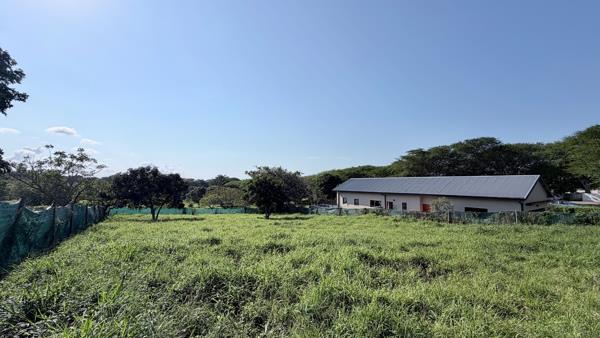 1 232 m² Land