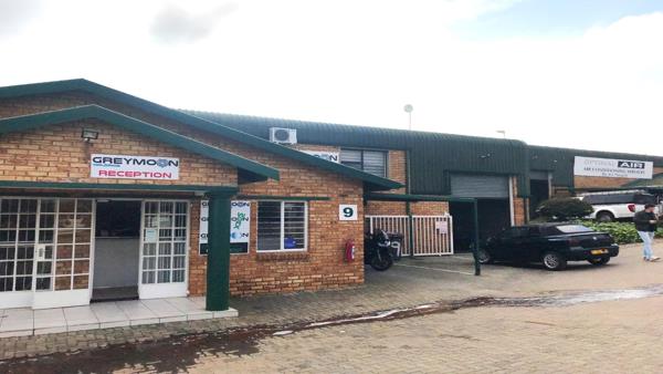 290 m² Commercial space