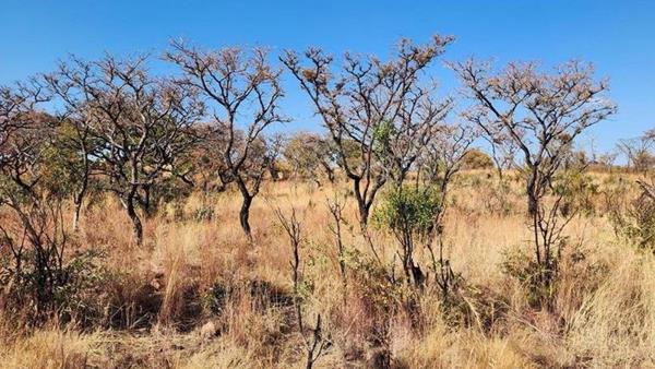 500 ha Farm
