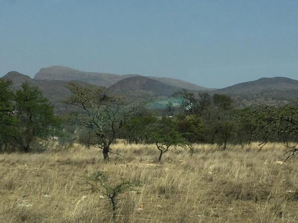 42.8 ha Commercial Farm
