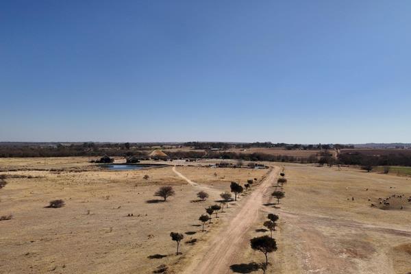 9.1 ha Commercial Farm