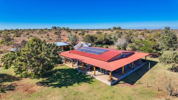 21 ha Commercial Farm