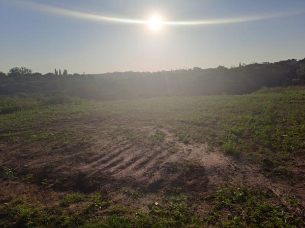 1 363 m² Land