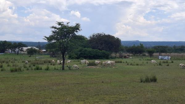2.2 ha Farm