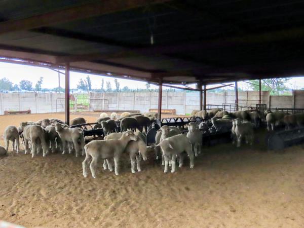 12.1 ha Farm