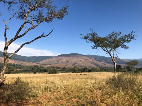 140 ha Farm