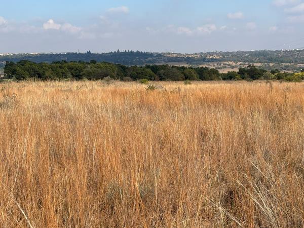 4.2 ha Land